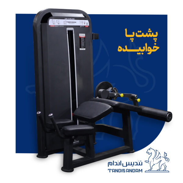 دستگاه بدنسازی پشت پا خوابیده طرح فیوژن DHZ تندیس اندام